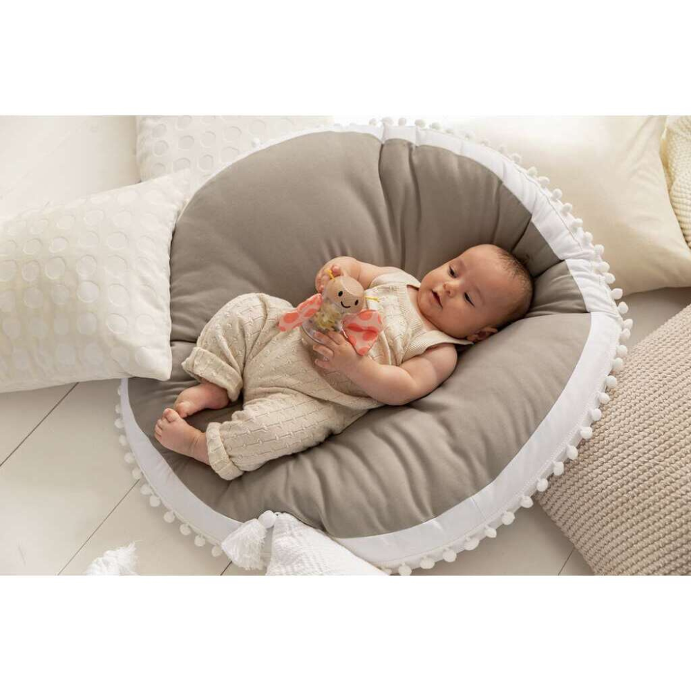 Bâton de pluie papillon Robert