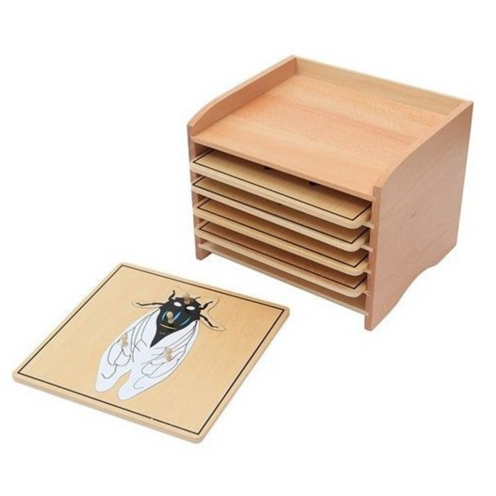 Cabinet + 5 puzzles insectes