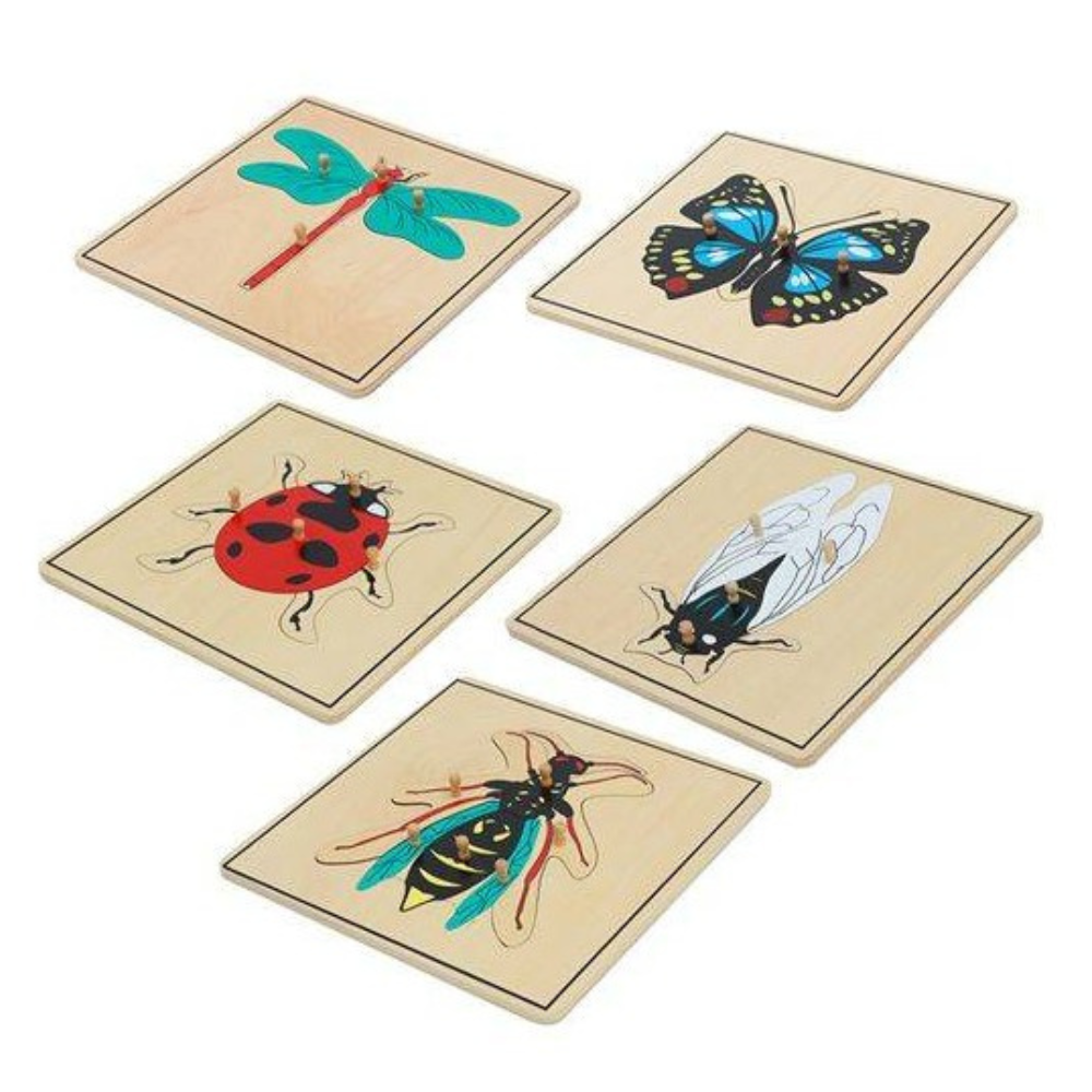 Cabinet bois + 5 puzzles insectes éducatifs pour enfant | Maroc – Eveil ...
