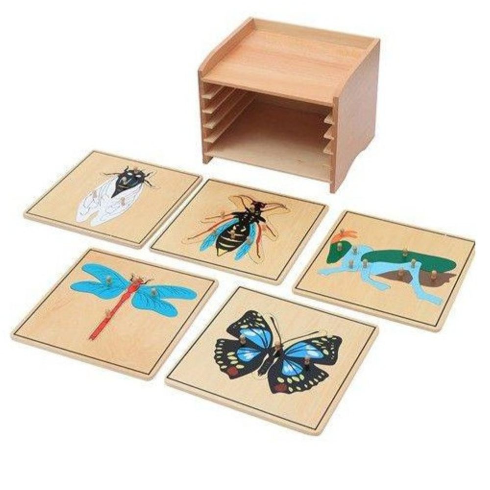 Cabinet bois + 5 puzzles insectes éducatifs pour enfant | Maroc – Eveil ...
