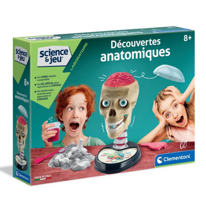 Découvertes anatomiques