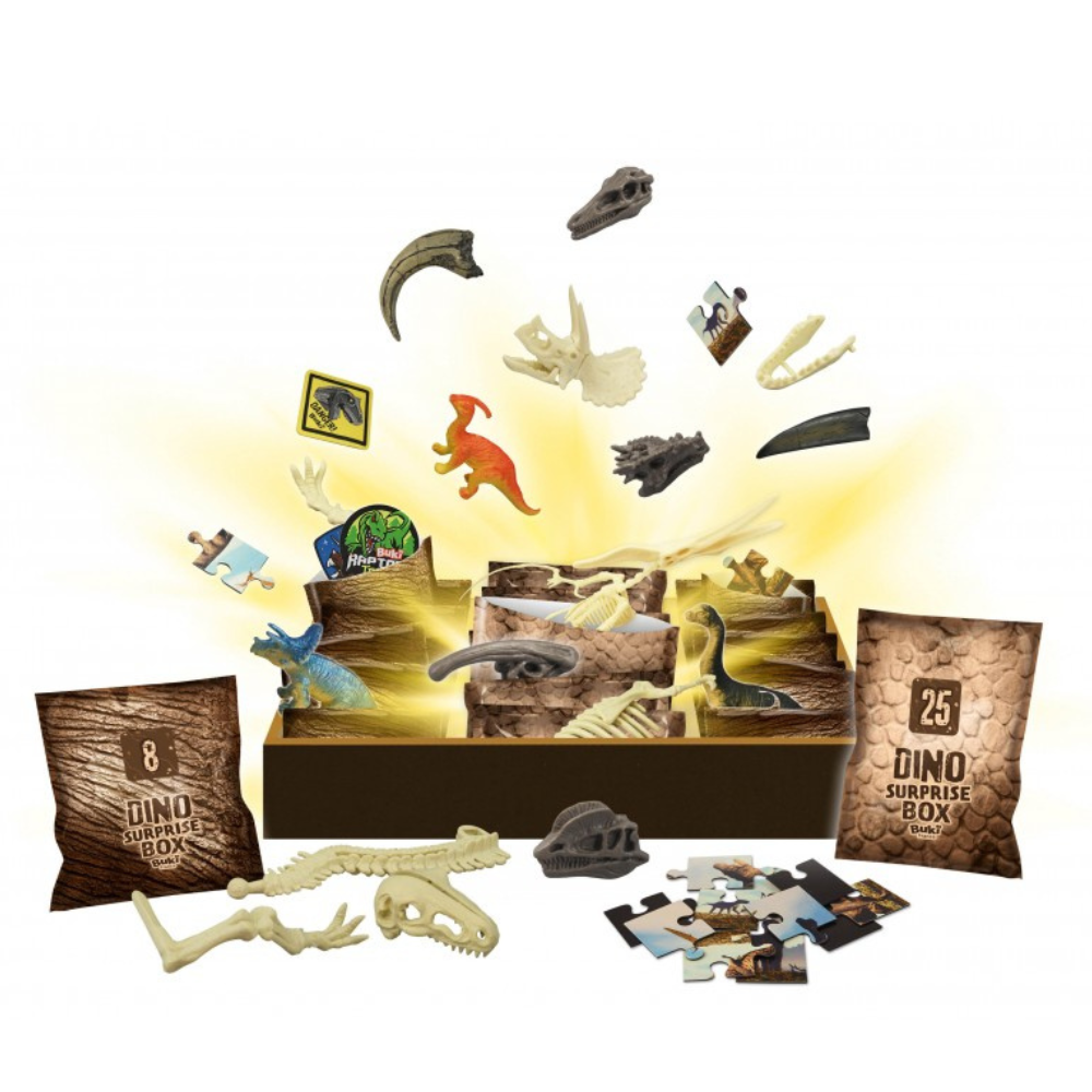 Dino surprise box