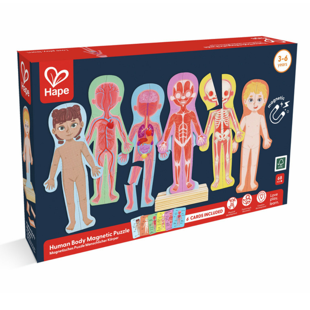 Puzzle aimanté - assemble le corps humain