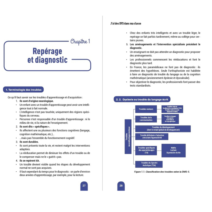 J'ai des DYS dans ma classe ! Trouble des apprentissages, TDA/H, élèves HPdys...