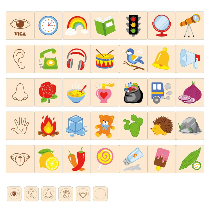 Jeu d'association - Découvrir ses 5 sens 