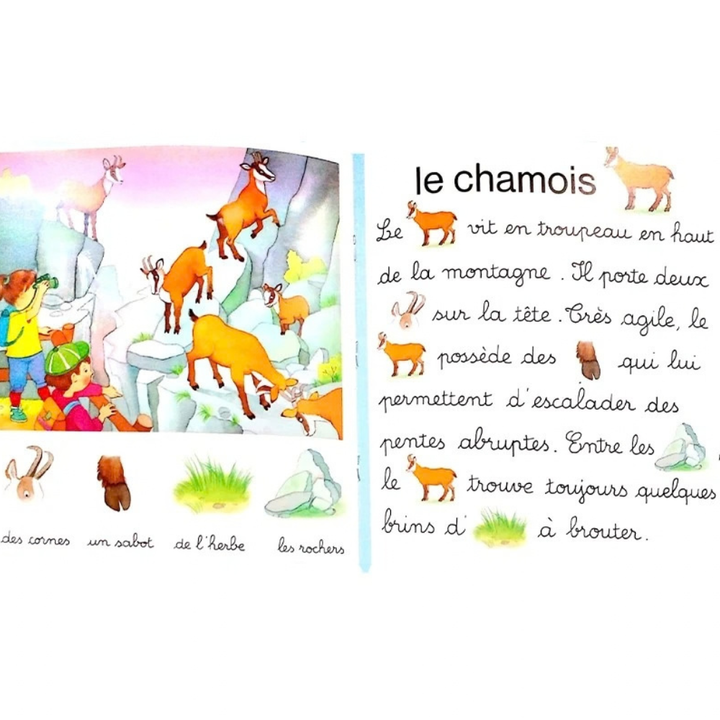 Jeux de mots : À la montagne - 3 - Eveil Montessori Maroc