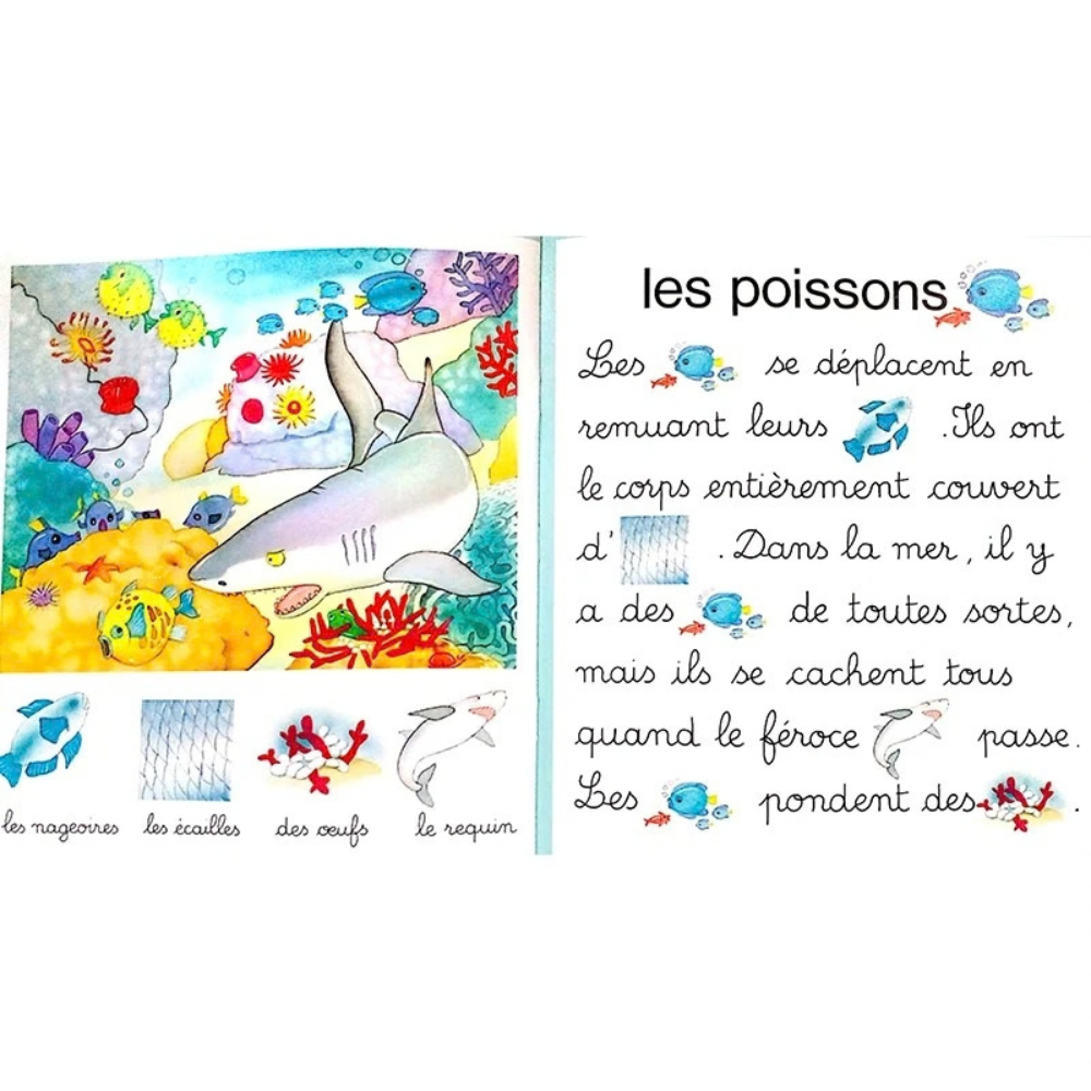 Jeux de mots : Au bord de la mer - 2 - Eveil Montessori Maroc