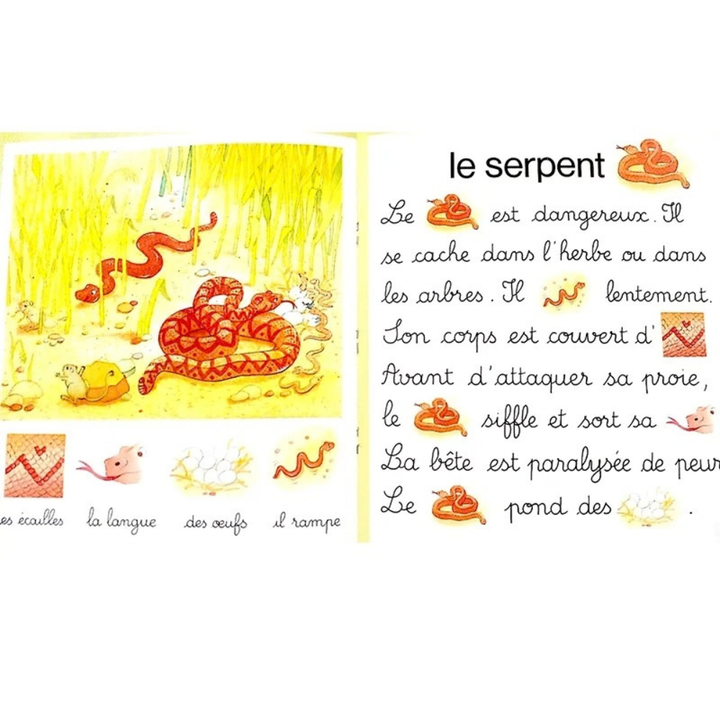 Jeux de mots : Dans la savane - 2 - Eveil Montessori Maroc