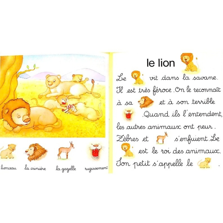 Jeux de mots : Dans la savane - 3 - Eveil Montessori Maroc