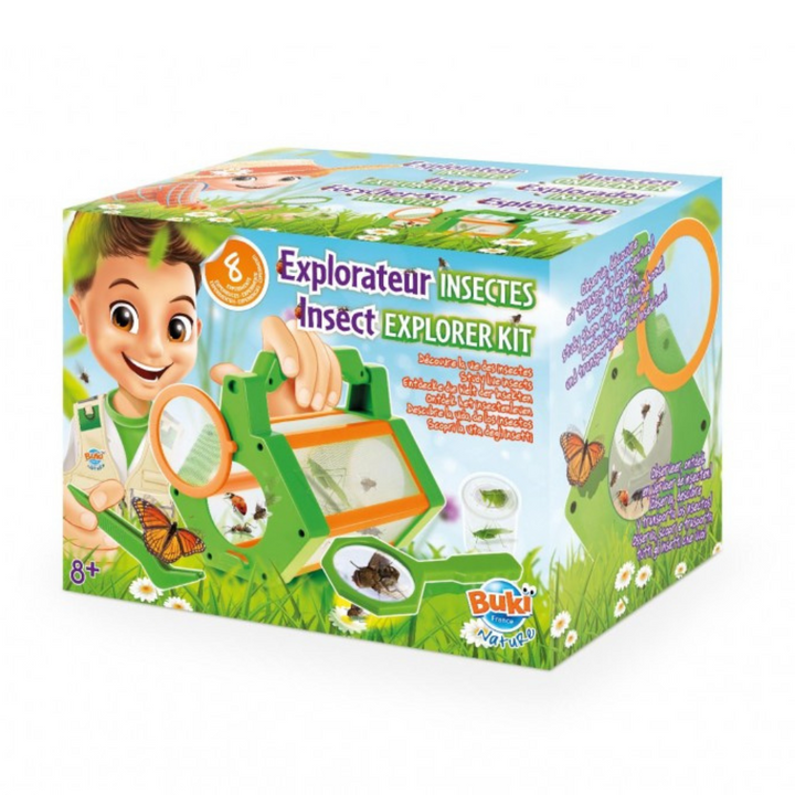Kit d'exploration d'insectes