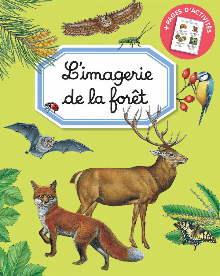 L’imagerie de la forêt