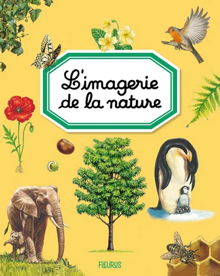 L’imagerie de la nature