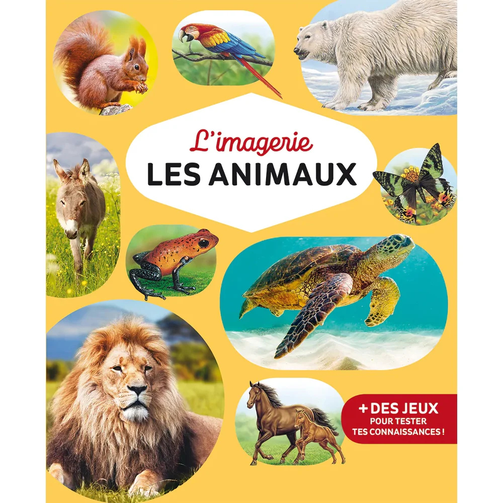 L'imagerie des animaux