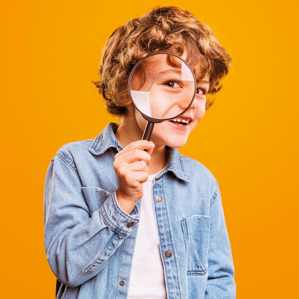 La cité des fourmis