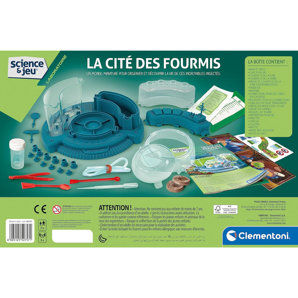 La cité des fourmis