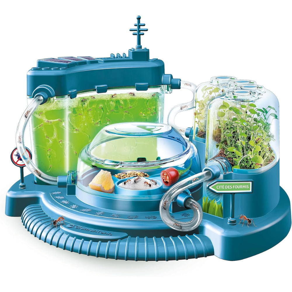 La cité des fourmis