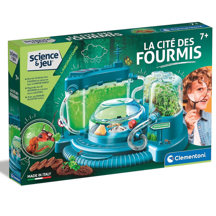 La cité des fourmis