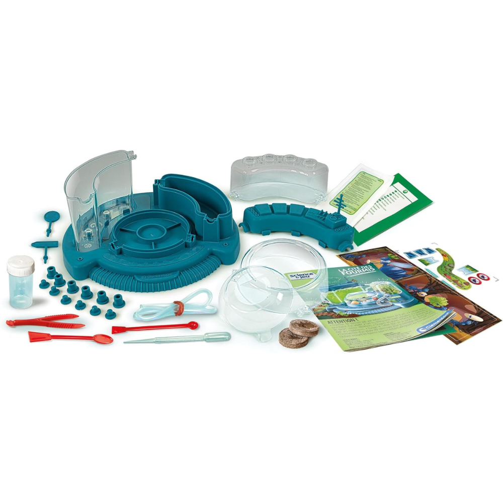 La cité des fourmis