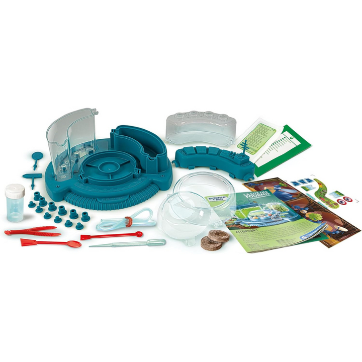 La cité des fourmis