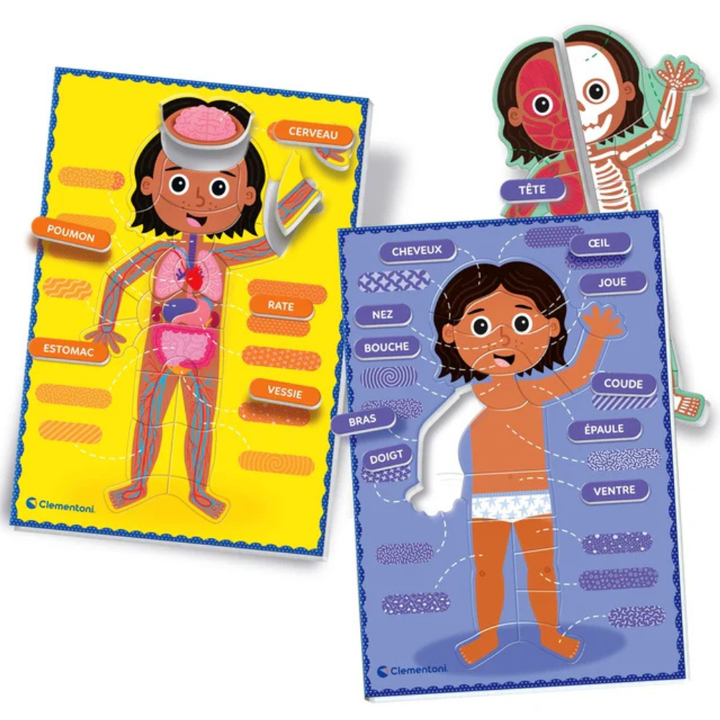 Le corps humain - Montessori