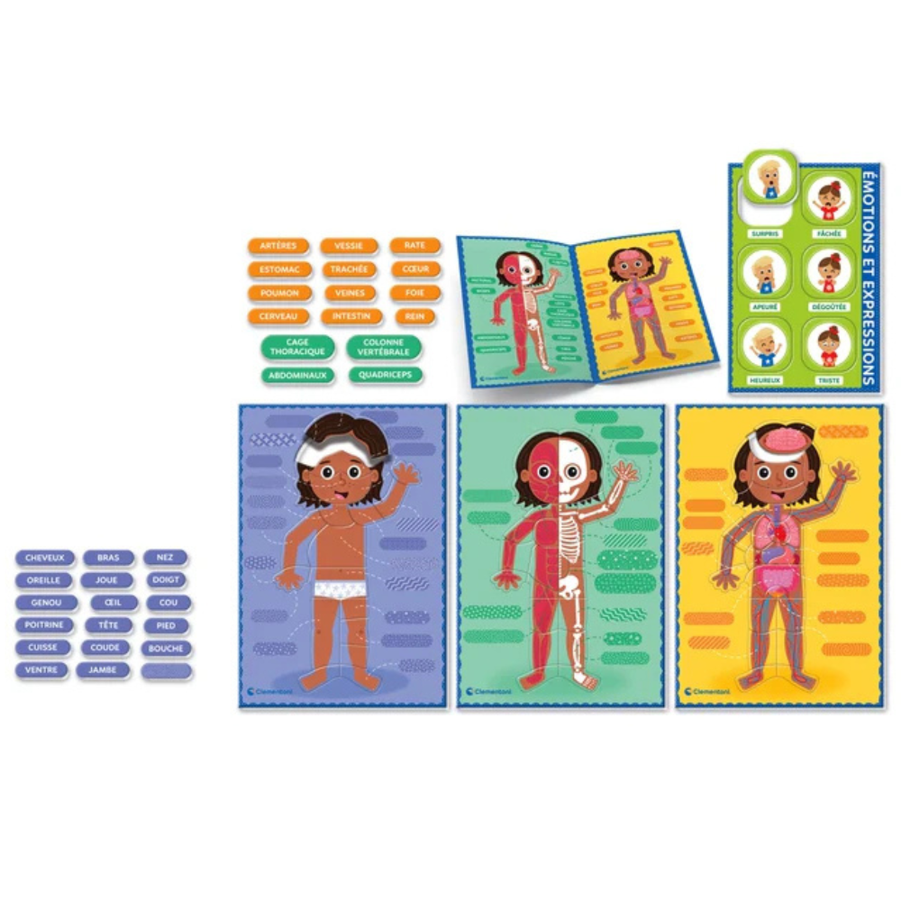 Le corps humain - Montessori