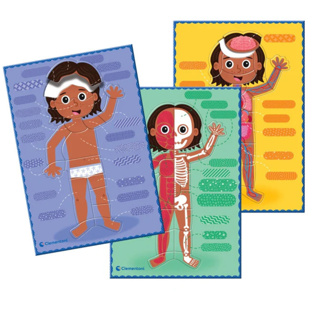 Le corps humain - Montessori