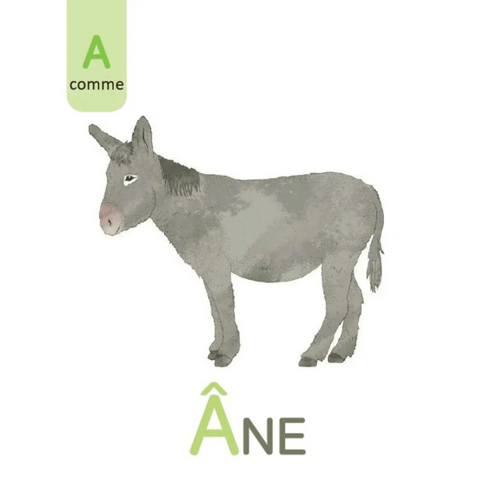 Le grand imagier Montessori lettres et chiffres rugueux