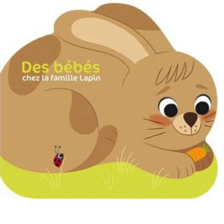 Les P’tits Z’amis de la Ferme - Des Bébés chez la Famille Lapin