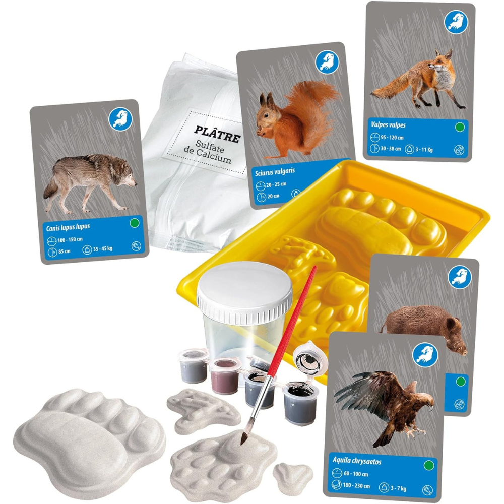 Les animaux de la planète Terre - Réalité Virtuelle