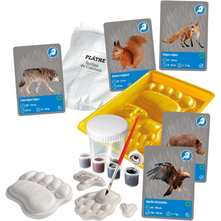 Les animaux de la planète Terre - Réalité Virtuelle