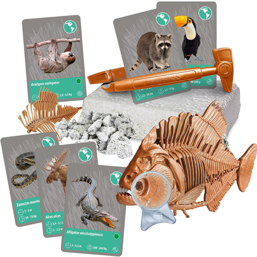 Les animaux de la planète Terre - Réalité Virtuelle