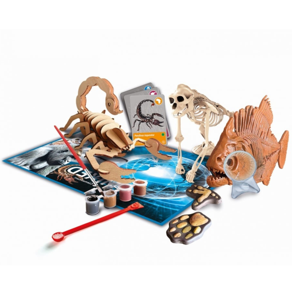 Les animaux de la planète Terre - Réalité Virtuelle