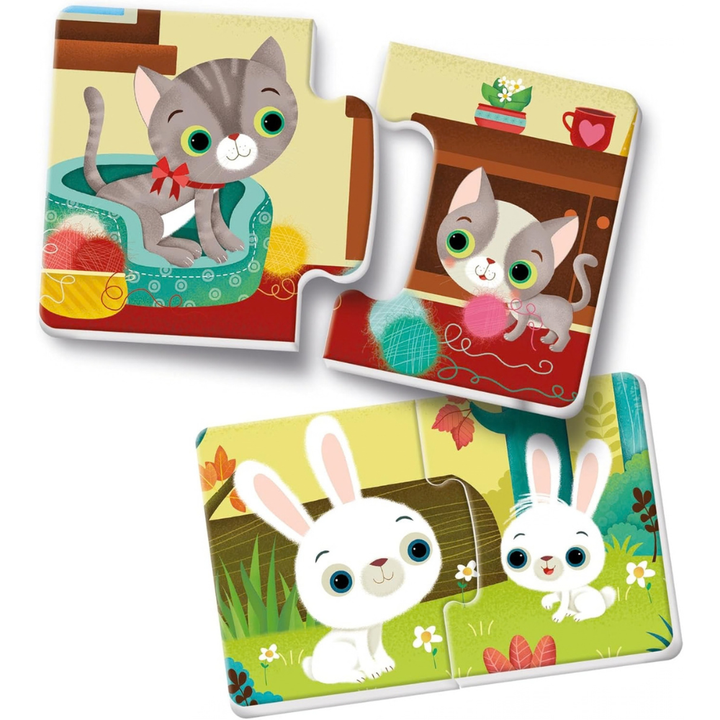 Les animaux et leur petit - 2 - Eveil Montessori Maroc