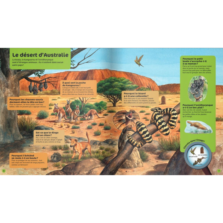 Les animaux sauvages - Questions/Réponses