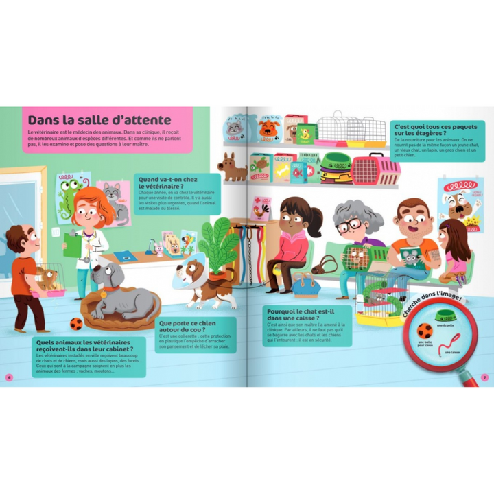 Le vétérinaire - Questions/Réponses