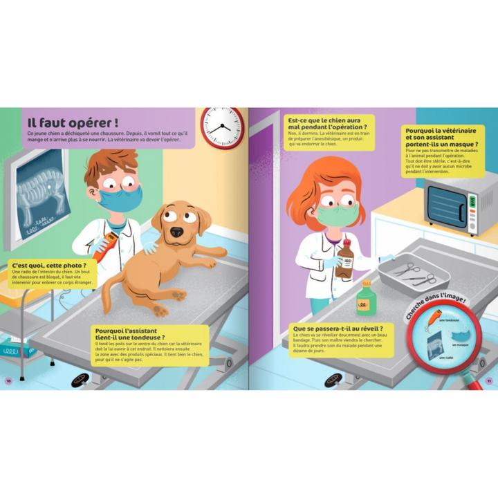 Le vétérinaire - Questions/Réponses