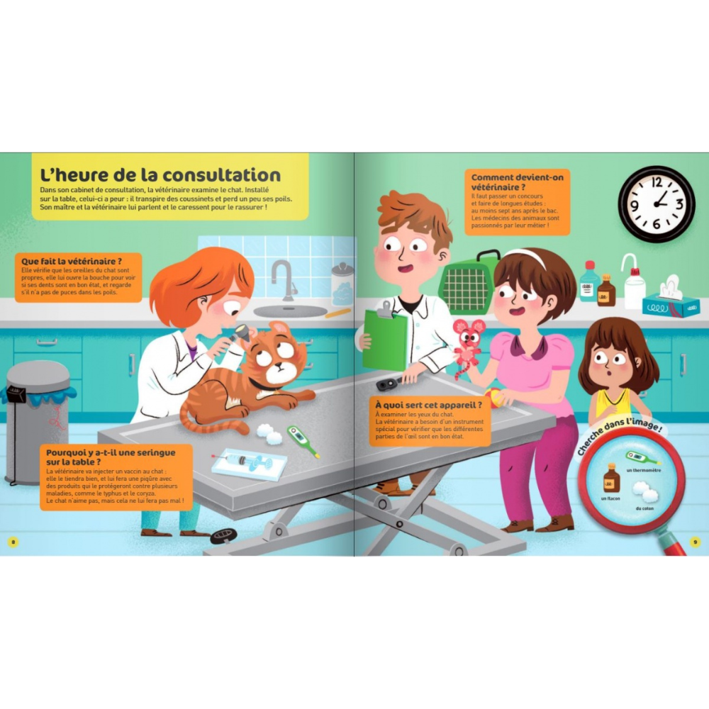 Le vétérinaire - Questions/Réponses