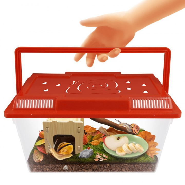 Maison des escargots