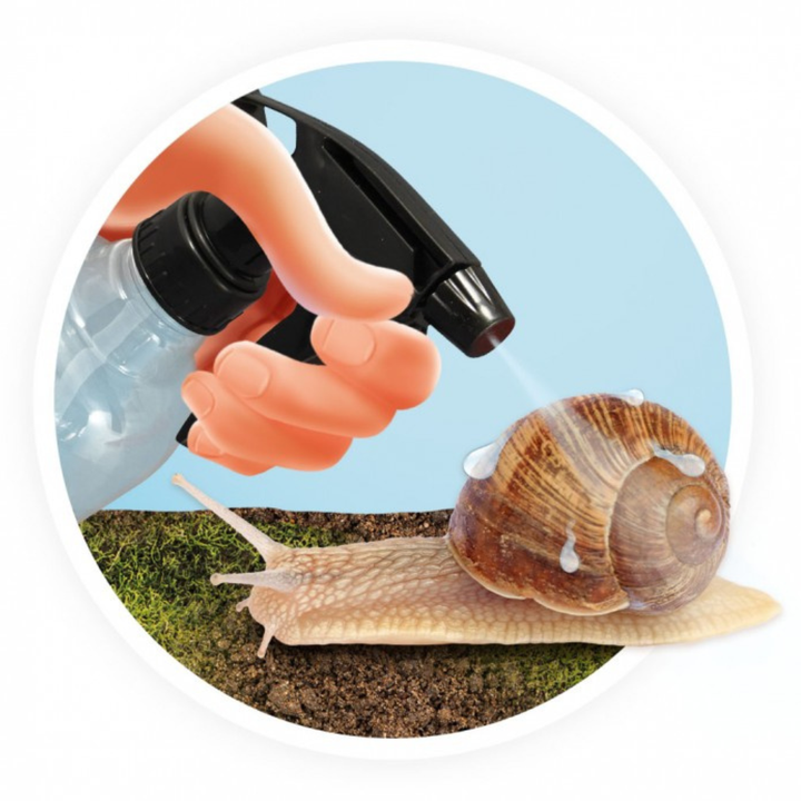 Maison des escargots