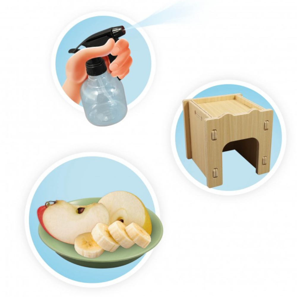 Maison des escargots