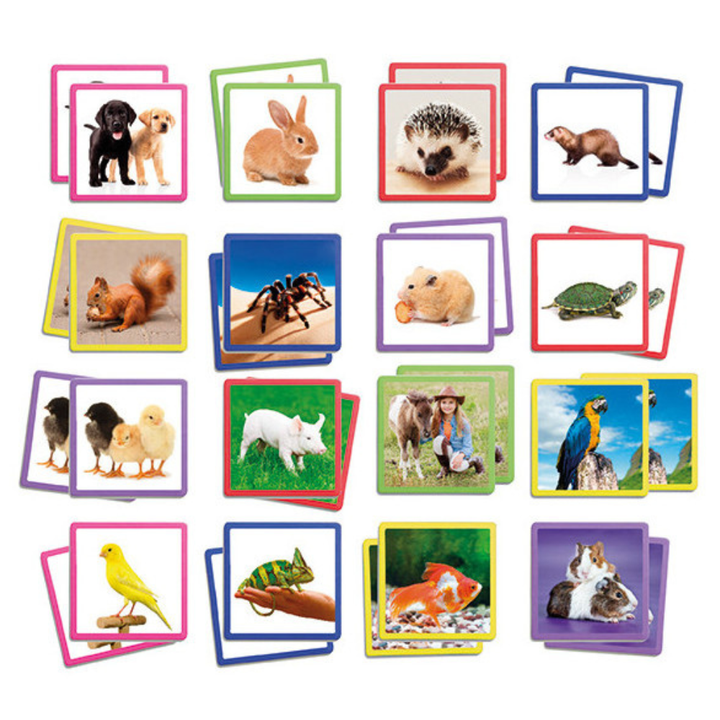 Maxi-memory : les animaux de compagnie