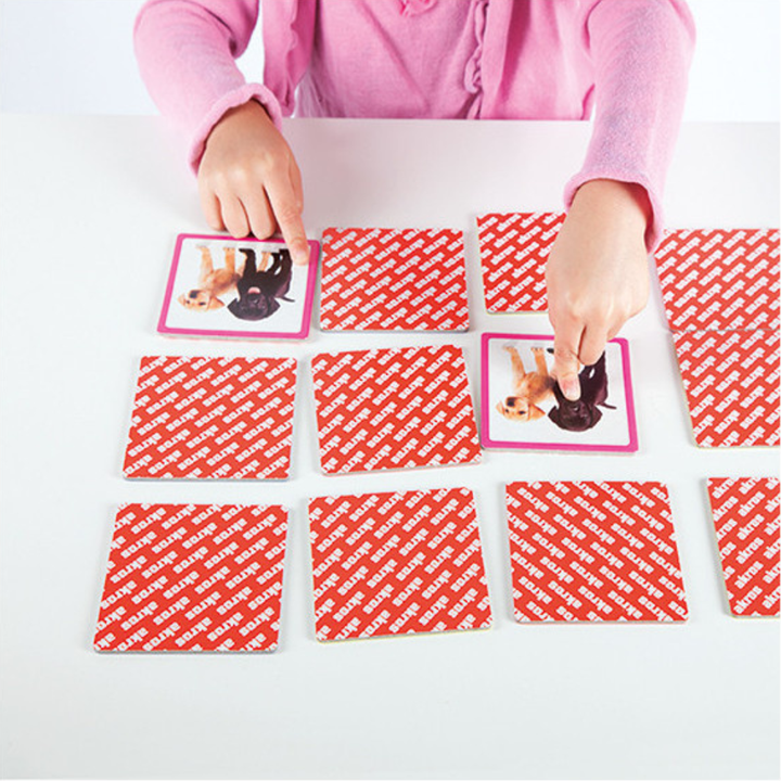 Maxi-memory : les animaux de compagnie