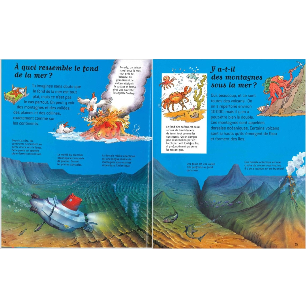 Mers et océans - Questions/Réponses - Dès 7 ans