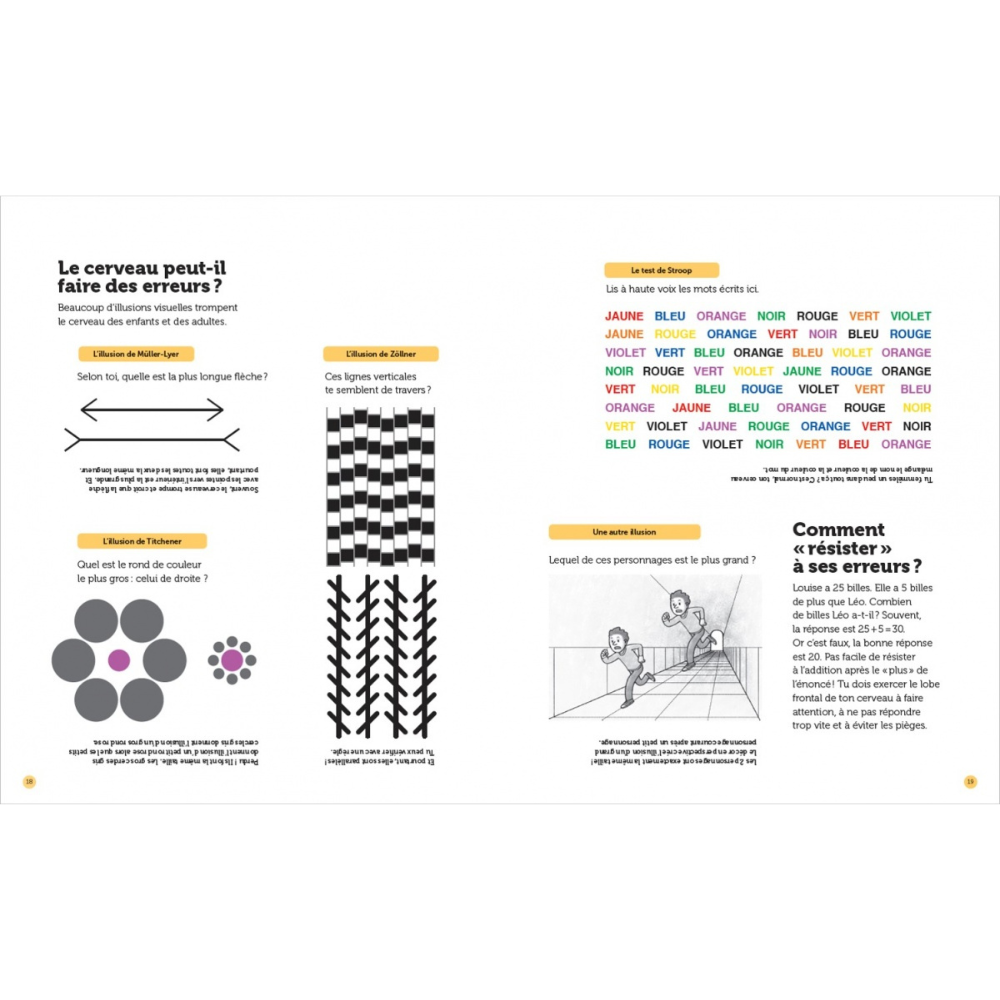 Mon cerveau - Questions/Réponses - doc dès 7 ans