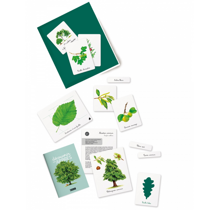 Mon coffret Montessori : Découvrir les arbres