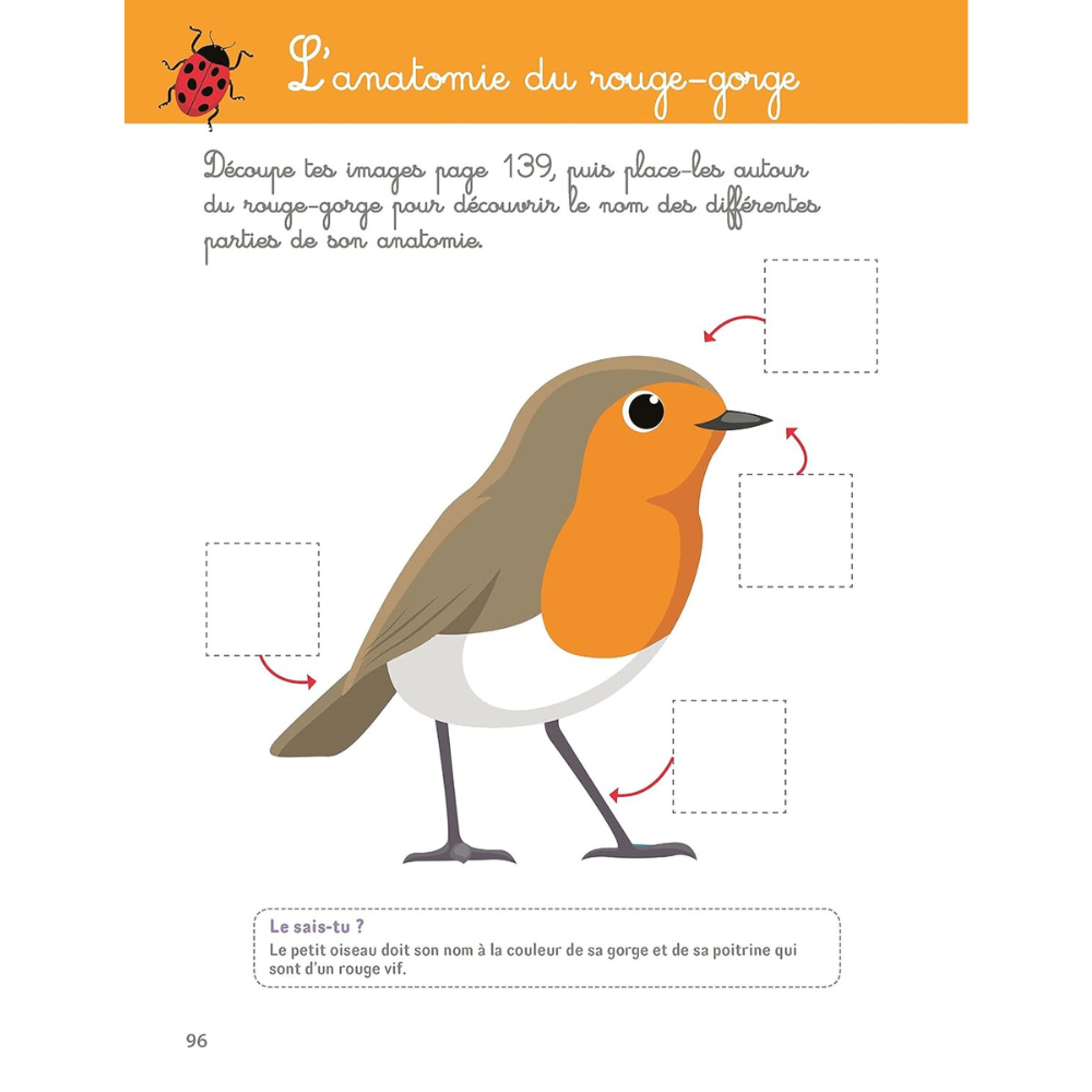 Mon grand cahier Montessori de la nature