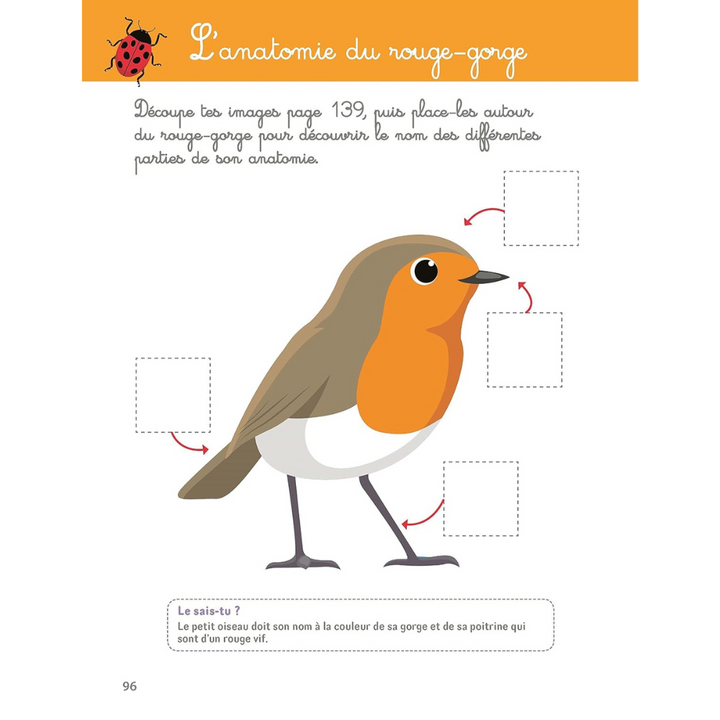 Mon grand cahier Montessori de la nature