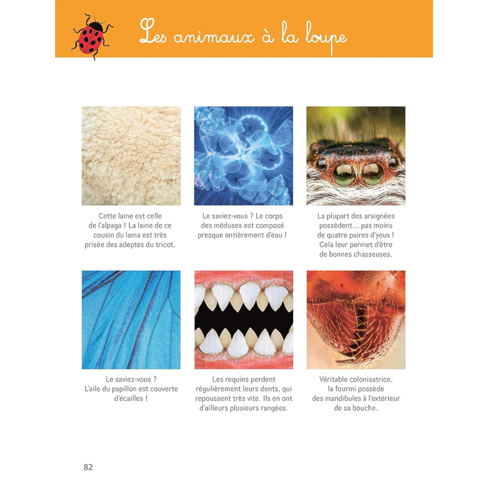 Mon grand cahier Montessori de la nature