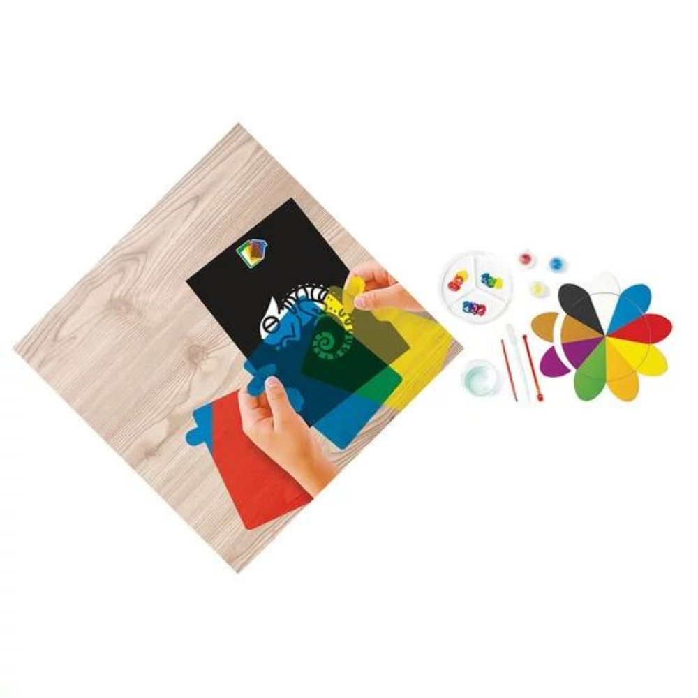 Montessori : un monde tout en couleur