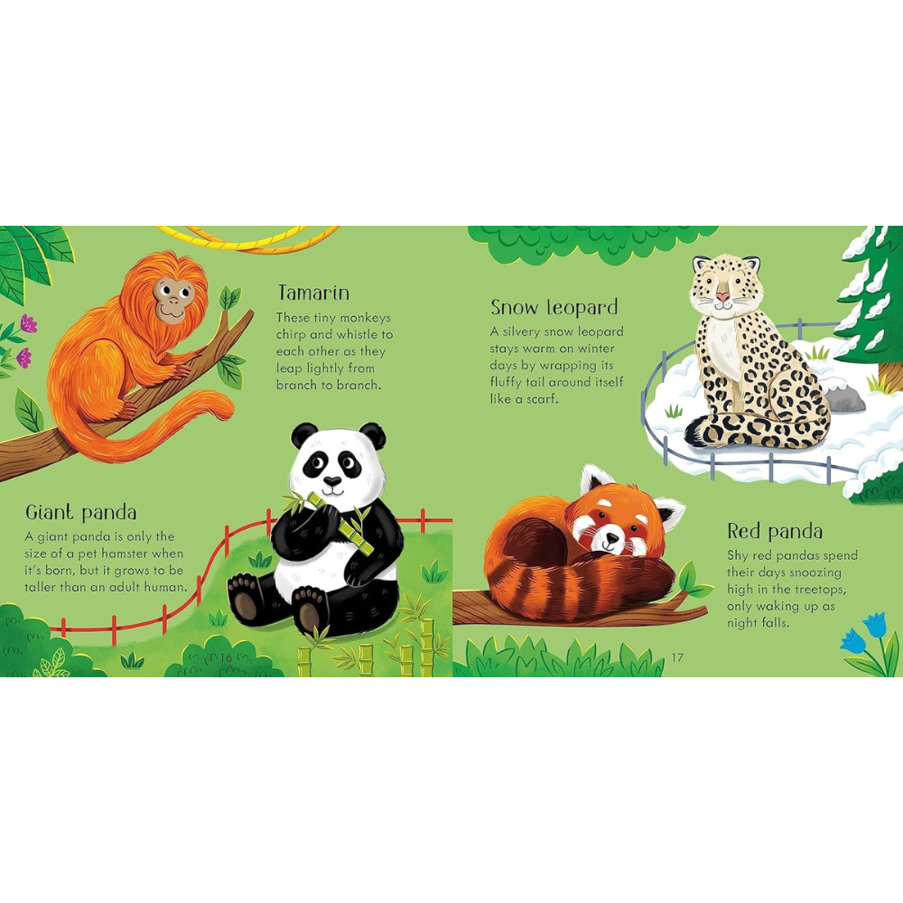 Jeu de mémoire + livre – Animaux du zoo – dès 3 ans (Anglais) - 6 - Eveil Montessori Maroc